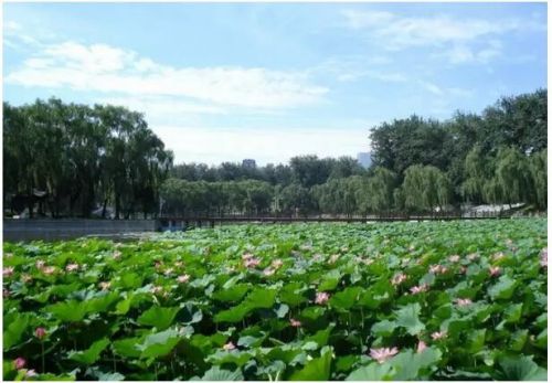 2016北京玩博會,7月14日齊聚全國農業展覽館新館(圖3) 2016北京玩博會,7月14日歡聚全國農業展覽館新館