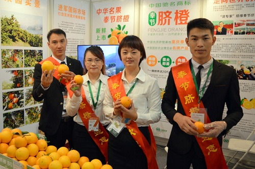 2016果蔬展,亞果會引您走品牌化道路(圖3) 2016果蔬展,亞果會引您走品牌化、商品化、標準化之道路2